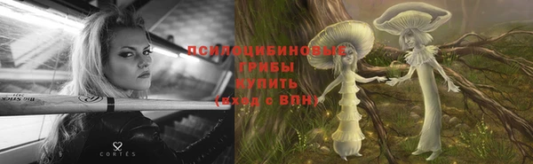 наркотики Белокуриха