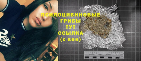 гидра Белоозёрский